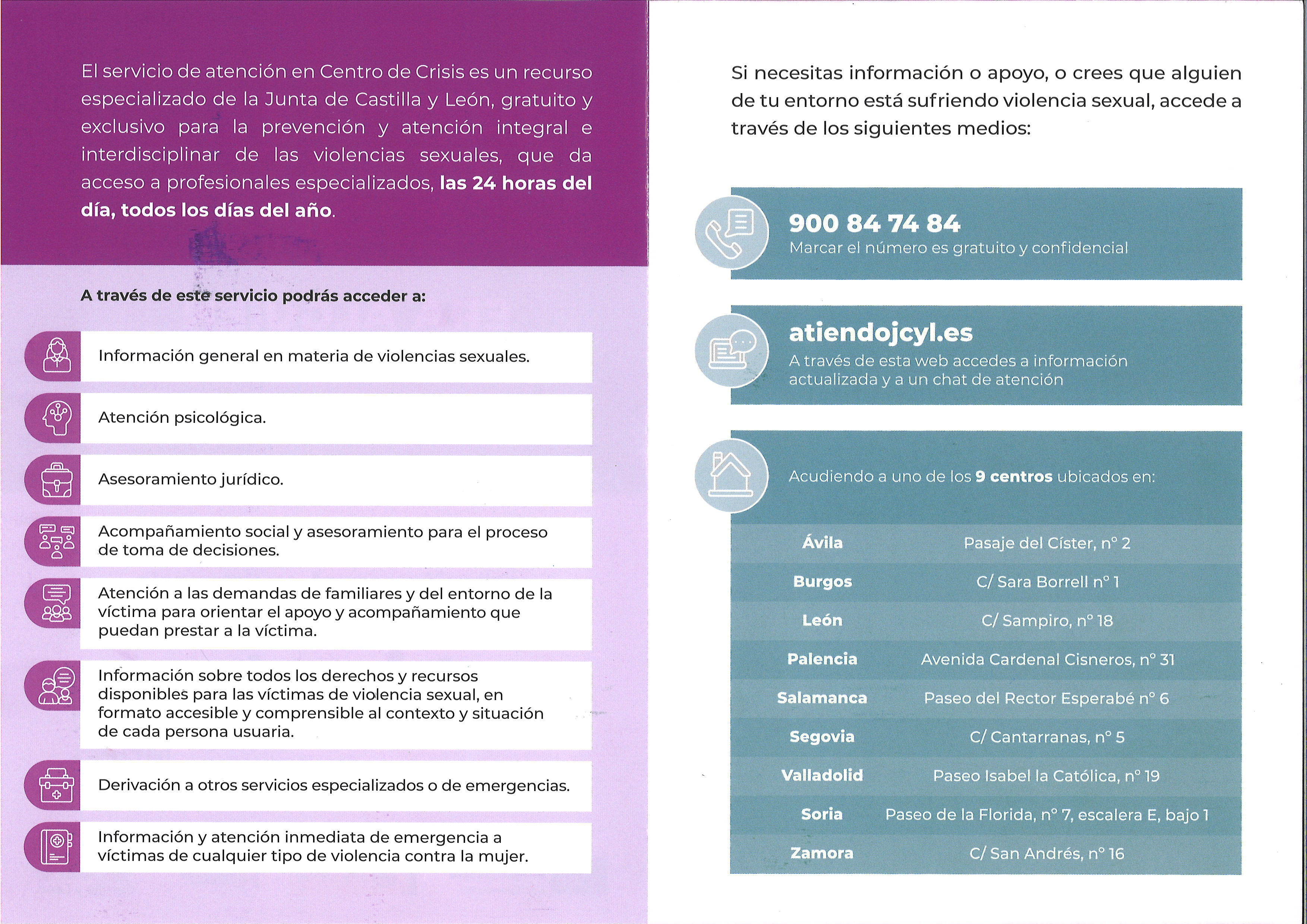 Contenido
